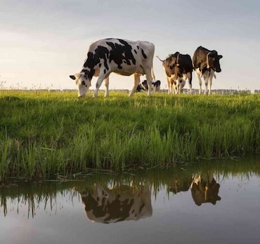 hero-2650x960-3-scaled-mobil